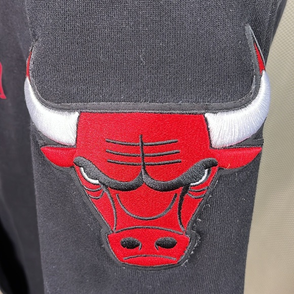 PRO Standard Chicago Bulls Velvet Lettering Embroidered Bulls Hoodie - Picture 5 of 16